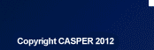 Copyright CASPER 2009