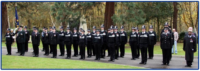 Brookwood, Surrey 2008